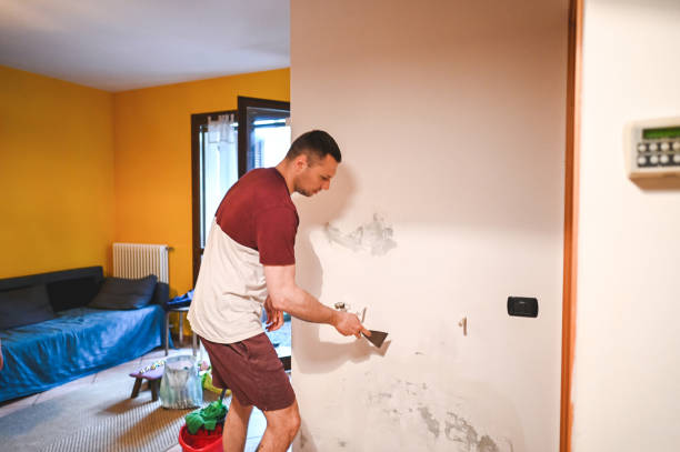 Best Attic Mold Remediation in Midway, NC